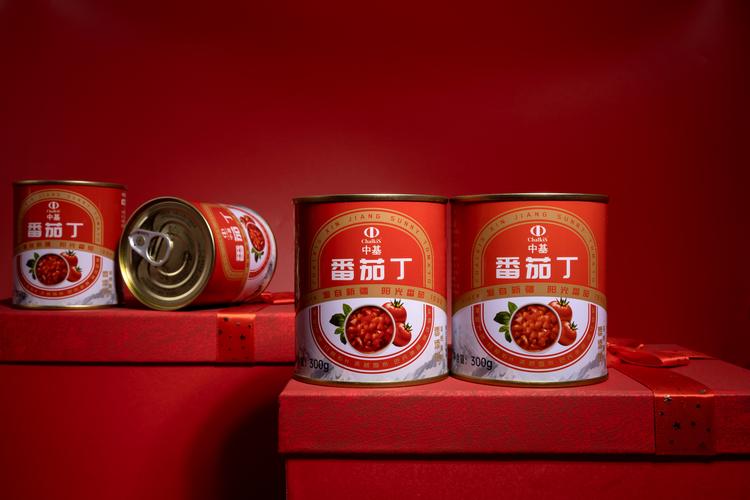 汇聚品牌力量，共创美味未来 上海渡鹿安品牌管理中基番茄酱番茄丁招商盛大启幕